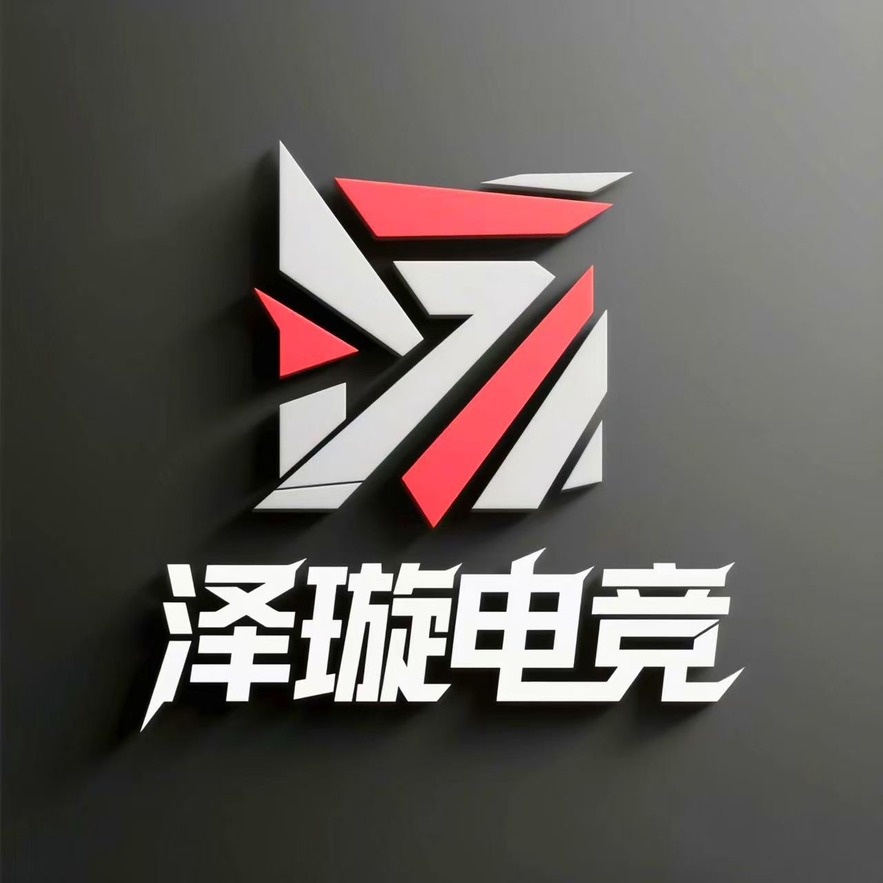 泽璇电竞